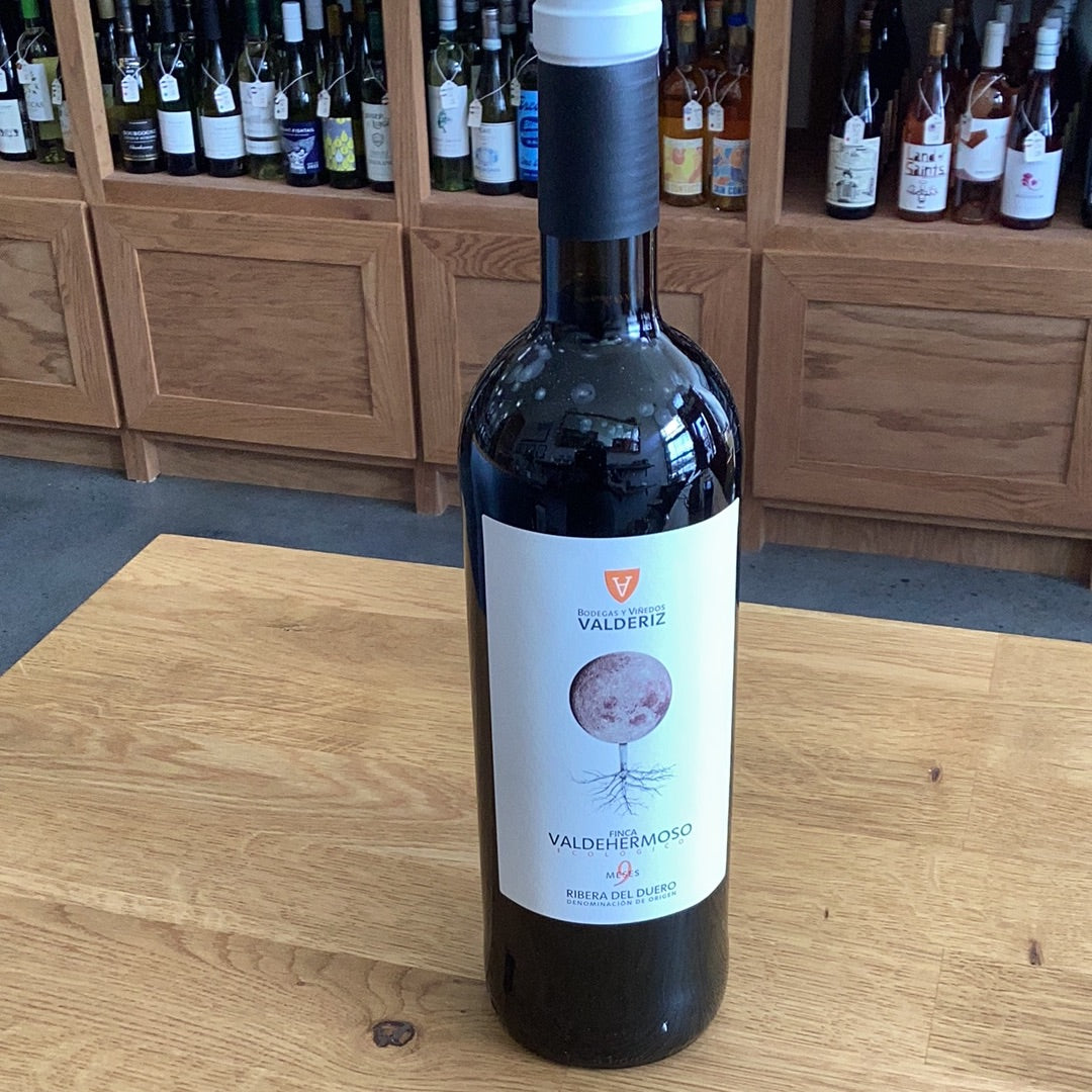 Valderiz Valdehermoso - Roble 2021 Ribera del Duero